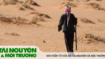 Kinh nghiệm của Trung Đông đối phó với nắng nóng thiêu đốt