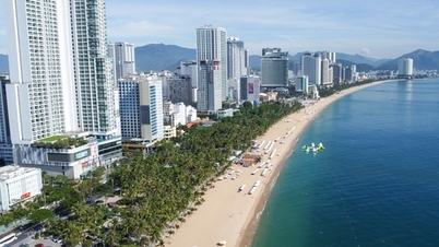 Beware of fake hotel websites to scam money from bookings