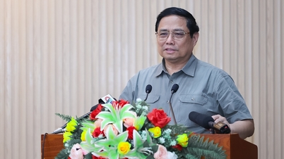 Khai thác tối đa 3 lợi thế nổi bật để Cà Mau đột phá phát triển toàn diện