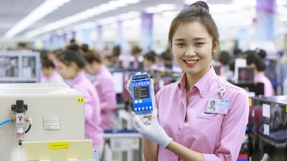 Nhiều gam màu sáng tạo đà “cán đích”