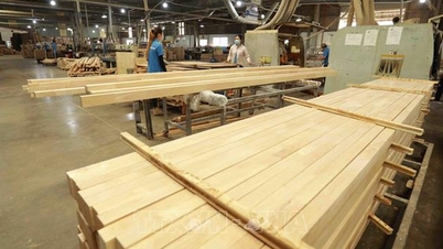 Refunded 19,100 billion VND of VAT on wood products