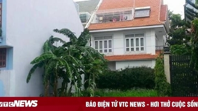 Hunderte Millionen Dong ausgeben, um Land in Hanoi zu kaufen und dann ... Gemüse anzubauen