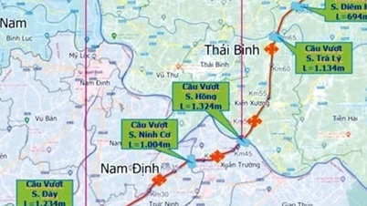 Nam Dinh និង Thai Binh រួមចំណែក 3,137 ពាន់លានដុង ដើម្បីសាងសង់ផ្លូវល្បឿនលឿន Ninh Binh
