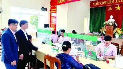 Đà Nẵng: Phát huy hiệu quả nguồn lực tín dụng chính sách xã hội