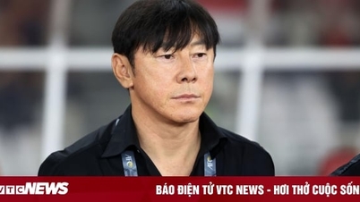 Mỉa mai HLV Shin Tae-yong, chuyên gia Indonesia bị cổ động viên tấn công