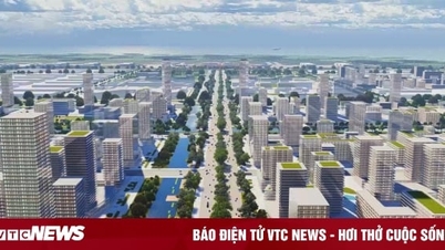 Thành lập Khu kinh tế ven biển phía Nam Hải Phòng quy mô 20.000 ha