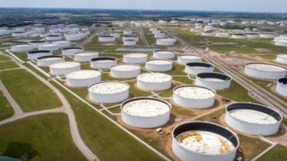 Giá xăng dầu hôm nay 26/10: Leo dốc hơn 2%
