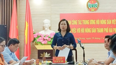 Vice President Bui Thi Thom and the delegation of the Central Committee of the Vietnam Farmers' Union worked with the Hai Phong Farmers' Association.