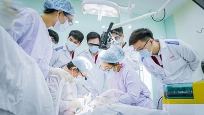 Shocking benchmark for health sector: Failing pedagogy, new society in medicine and pharmacy?