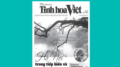 Read Tinh Hoa Viet issue 229, released on October 10, 2024