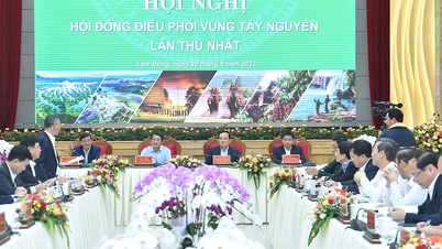 Phó Thủ tướng Trần Lưu Quang chủ trì Hội nghị Hội đồng điều phối vùng Tây Nguyên
