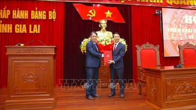 Ông Nguyễn Ngọc Lương giữ chức Phó Bí thư Tỉnh ủy Gia Lai