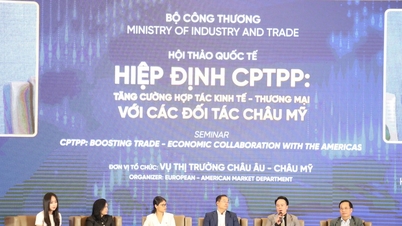 Stärkung der Wirtschafts- und Handelskooperation mit den CPTPP-Mitgliedsländern