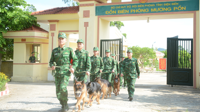 Một buổi huấn luyện tìm kiếm cứu nạn cùng “trợ thủ đặc biệt”