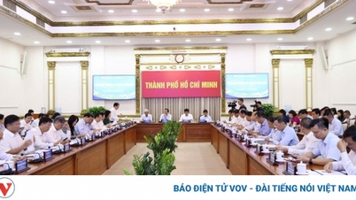 Lý do TP.HCM thiếu giáo viên âm nhạc, thể dục, tiếng Anh