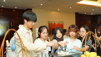 Trải nghiệm đồ ăn độc đáo, văn hoá trà đạo tại Tuần lễ Ẩm thực Hàn Quốc 2024