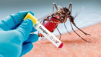 Vaccine ngừa sốt xuất huyết của Nhật Bản sẽ được tiêm thử nghiệm tại Việt Nam