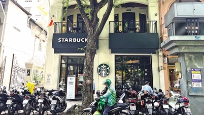 ហេតុអ្វីបានជា Starbucks និង The Coffee House បន្តកាត់ហាង?