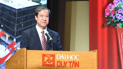 សាកលវិទ្យាល័យ Duy Tan គឺជាសាលាឯកជនដំបូងគេដែលប្តូរទៅជាគំរូសាកលវិទ្យាល័យ។