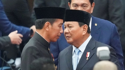 Tổng thống Indonesia cải tổ nội các giữa thời điểm chuyển giao