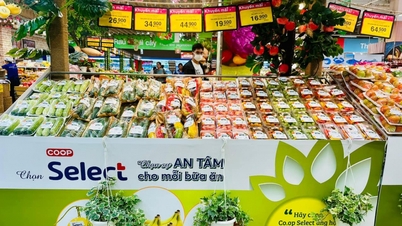 Co.opmart, Co.opXtra khuyến mãi thực phẩm cho bữa ăn ngon