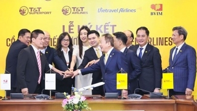 T&T Group jumps into aviation; Sovico develops data center; 2 Vietnamese billionaires 'join hands' in Southeast Asia's largest project