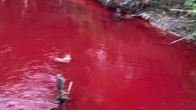 Le coupable a été identifié, ce qui a fait que le ruisseau de Binh Phuoc a pris une « couleur étrange »