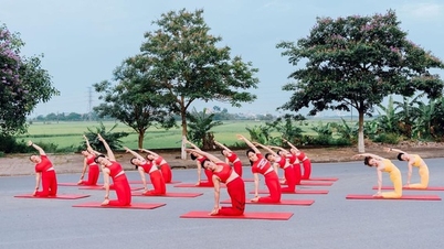 Thêm một nhóm yoga ra giữa đường quay video 'cúng' Facebook bị xử phạt