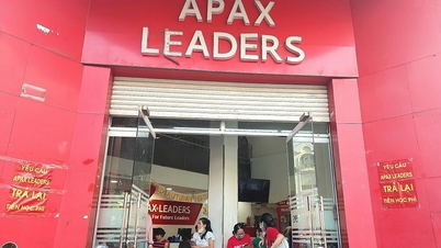 មេដឹកនាំ Apax សន្យាថានឹងសងបំណុលឪពុកម្តាយ