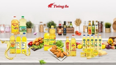 កិច្ចព្រមព្រៀង M&A តម្លៃរាប់ពាន់លានដុល្លាររបស់ KIDO Group