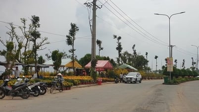 Hơn 200 gian hàng miễn phí cho người dân bán hoa Tết