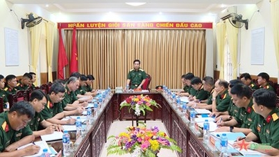 ឧត្តមសេនីយ៍ឯក Nguyen Doan Anh ពិនិត្យការត្រៀមខ្លួនប្រយុទ្ធរបស់កងពលតូចមីស៊ីលលេខ ៤៩០