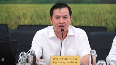 Con số xuất khẩu nông sản kỷ lục chứng minh hiệu quả công tác quản lý thuốc bảo vệ thực vật