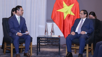 Công ty năng lượng hàng đầu muốn làm điện gió ngoài khơi tại Việt Nam