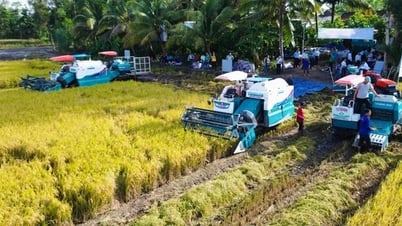 សំណើ​បែងចែក​ធនធានមនុស្ស និង​ដើមទុន​ឱ្យបាន​គ្រប់គ្រាន់​សម្រាប់​គម្រោង​ស្រូវ​គុណភាព​ខ្ពស់ និង​បញ្ចេញ​ឧស្ម័ន​ក្នុង​ផ្ទៃដី​១​លាន​ហិកតា