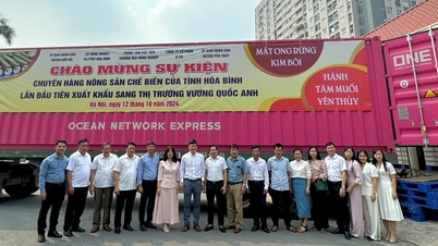 Lần đầu tiên, mật ong rừng, hành tăm muối của Hòa Bình được xuất khẩu sang Vương quốc Anh