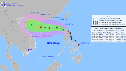Storm YAGI has entered the East Sea, becoming storm number 3, increasing in intensity, risk of level 16 gusts