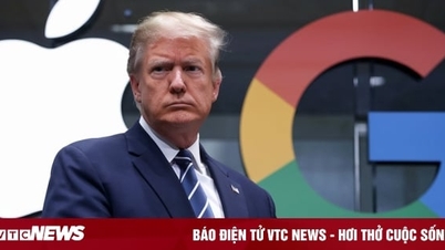 Welche Auswirkungen hat der Sieg von Donald Trump auf die Smartphone-Branche?