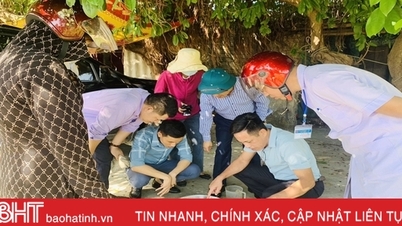 ជំងឺគ្រុនឈាមអាចកើតមានក្នុងពេលឆាប់ៗនេះ ប្រជាជន Ha Tinh មិនគួរប្រកាន់!