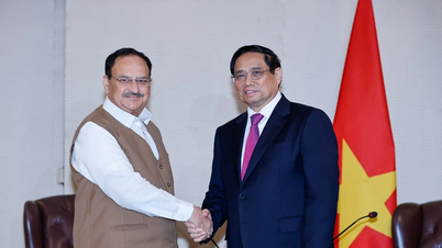Thủ tướng Phạm Minh Chính tiếp Chủ tịch Đảng BJP Jagat Prakash Nadda