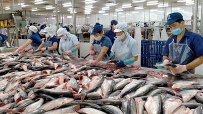 Will the EU remove the IUU "yellow card" for Vietnamese seafood in the next 6 months?