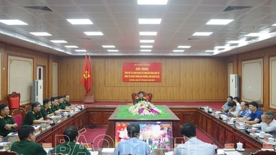 National online conference to summarize and visit model building on local defense work and militia and self-defense forces