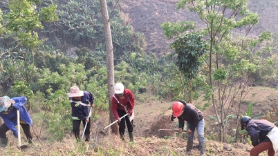 Prioritize land policy resolution for ethnic minorities