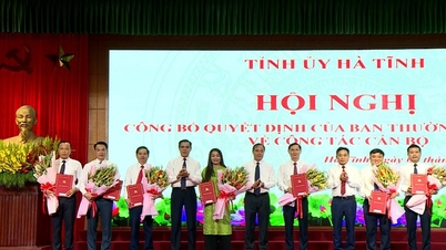 Mobilizing and rotating 19 cadres managed by the Standing Committee of Ha Tinh Provincial Party Committee