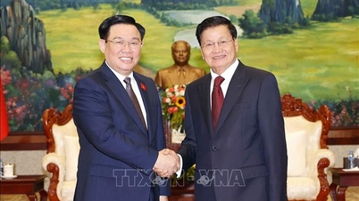 Chủ tịch Quốc hội Vương Đình Huệ hội kiến Tổng Bí thư, Chủ tịch nước CHDCND Lào