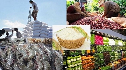 6 tháng đầu năm, xuất khẩu nông lâm thủy sản đạt 29,2 tỷ USD