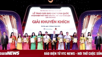 VTC News e-newspaper won the National Press Award for the development of culture, sports and tourism.
