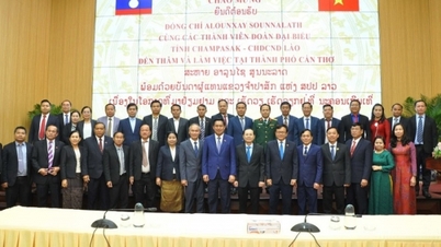 La ville de Can Tho reçoit la médaille du travail de deuxième classe du Laos