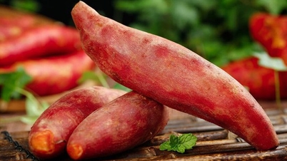 Ăn khoai lang cần tránh 3 thời điểm này để phòng bệnh dạ dày và bệnh đường tiêu hóa