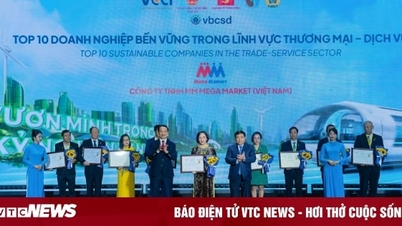 MM Mega Market được vinh danh Top 10 Doanh nghiệp bền vững